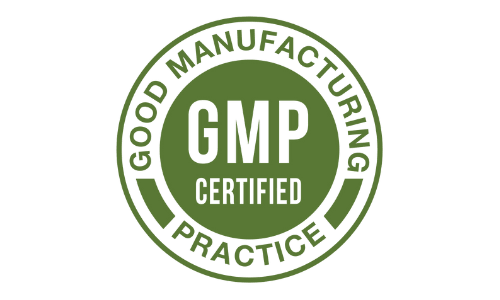 fast lean pro gmp certified